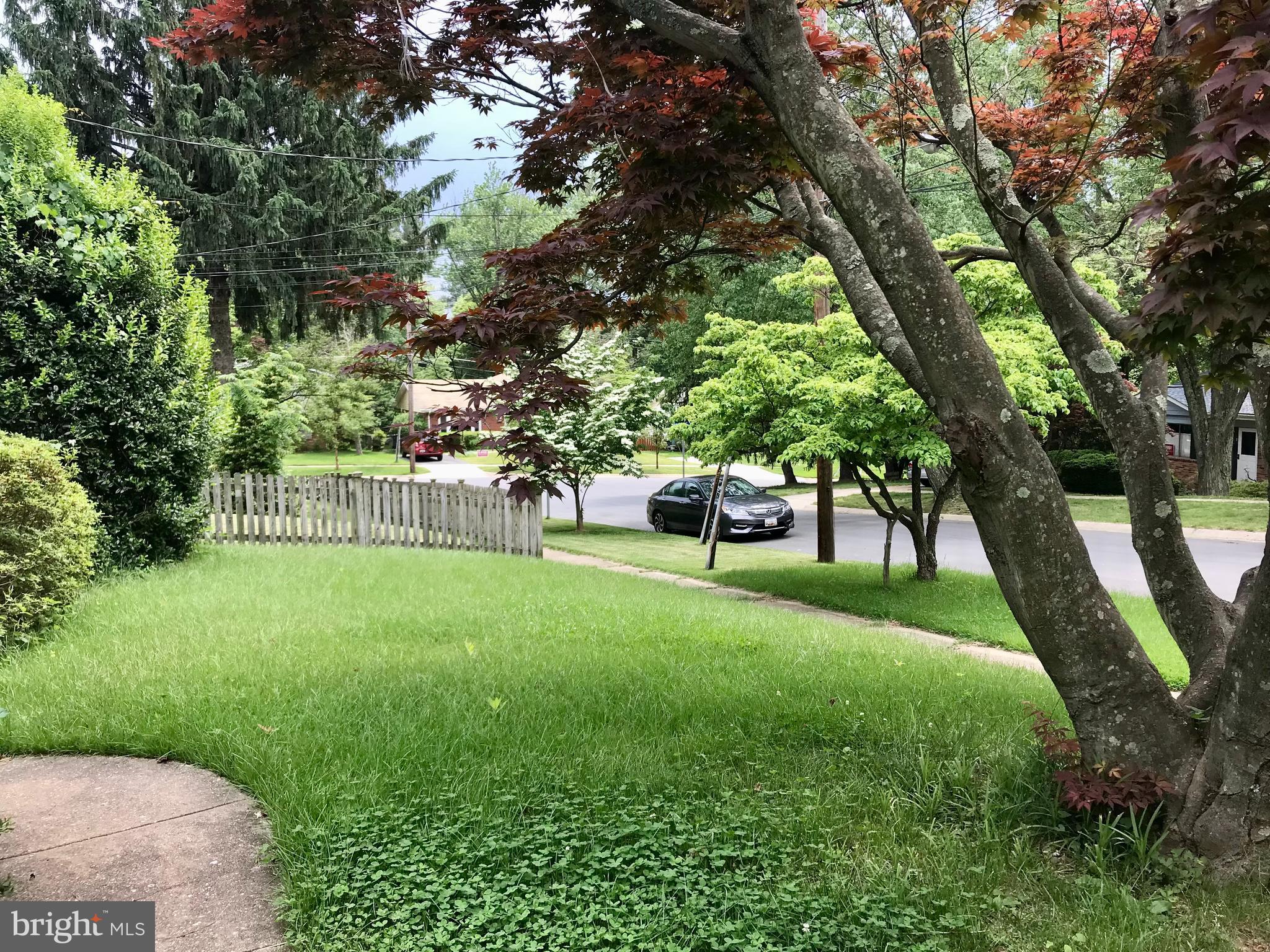 822 Harrington Road Rockville, MD 20852 - Photo 7 of 10