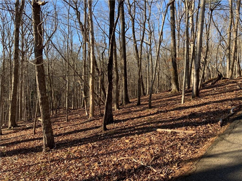 0 Oak Ridge Court Jasper, GA 30143 - Photo 2 of 7 a view of a house with a yard