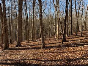 0 Oak Ridge Court Jasper, GA 30143 - Photo 4 of 7 a view of a house with a yard