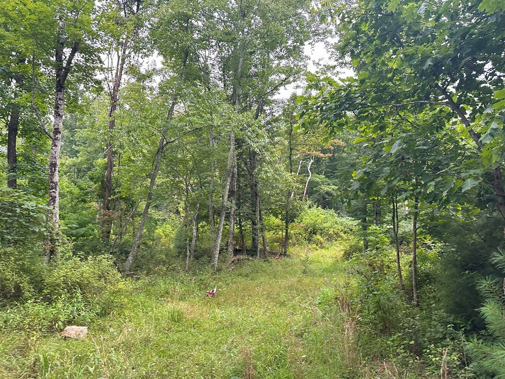 Tbd Claytor Road Northeast, Unit 17A7 Pilot, VA 24138 - Photo 10 of 16 Gallery Image 10