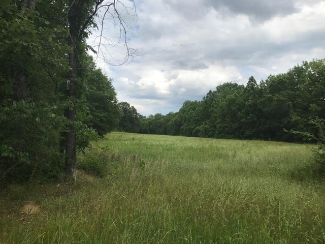 75 Liberty Road Moscow, TN 38057 - Photo 14 of 18 Gallery Image 14