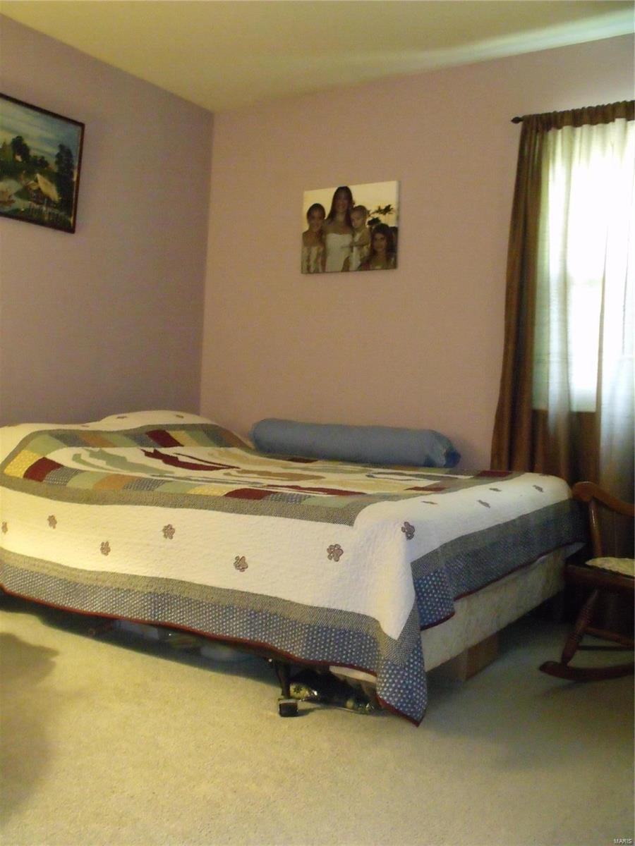 1327 Springfield Drive Belleville, IL 62221 - Photo 20 of 25 Gallery Image 20