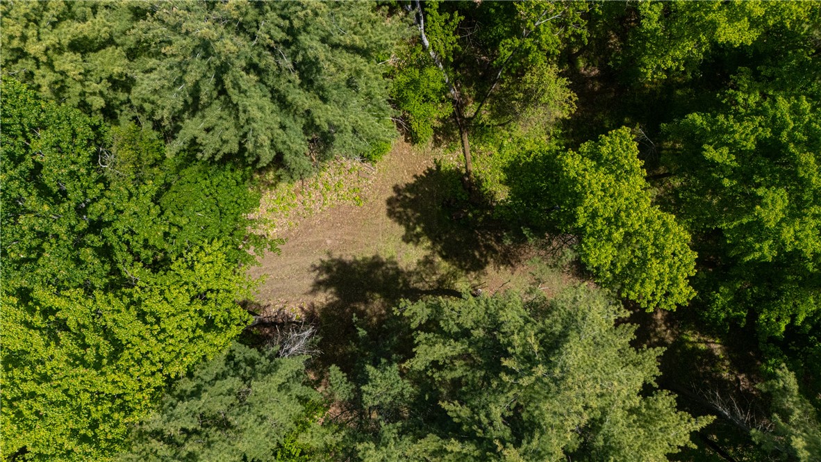 8867 Glenbrook Road Hammondsport, NY 14840 - Photo 14 of 17