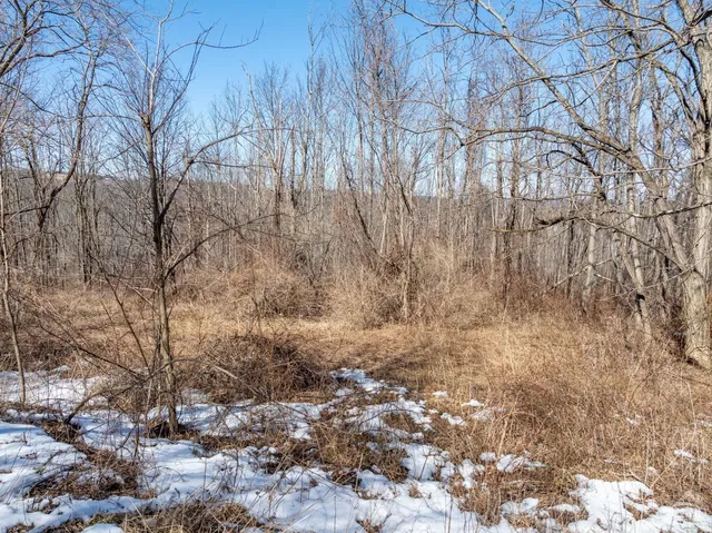 $64,500 | 0 Abitz Road, Durham, NY 12422