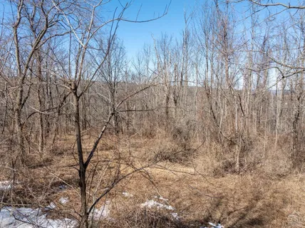 $64,500 | 0 Abitz Road, Durham, NY 12422