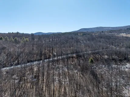 $64,500 | 0 Abitz Road, Durham, NY 12422