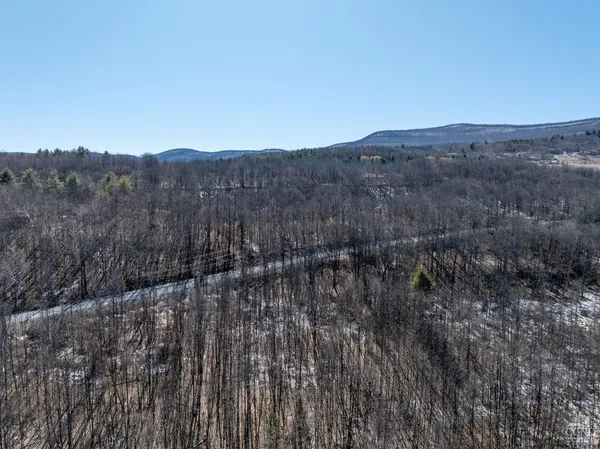 $64,500 | 0 Abitz Road, Durham, NY 12422