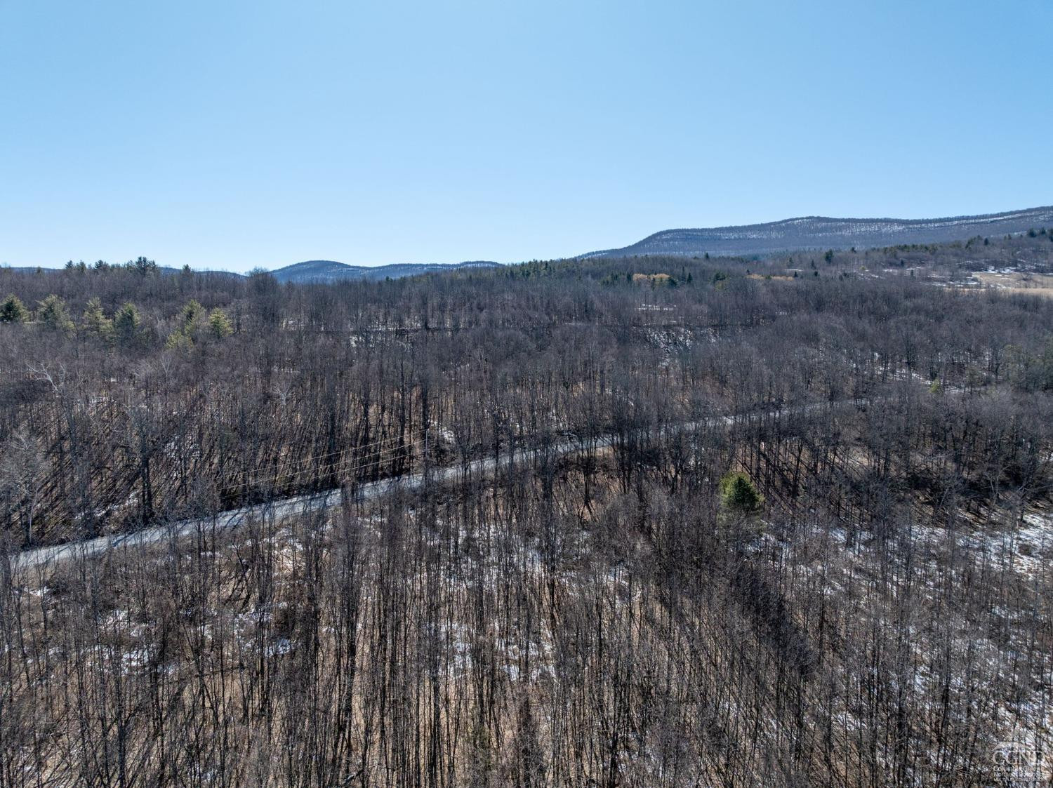 0 Abitz Road Durham, NY 12422 - Photo 13 of 39 Photo 13