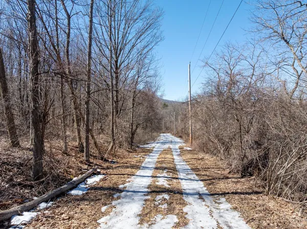 $64,500 | 0 Abitz Road, Durham, NY 12422