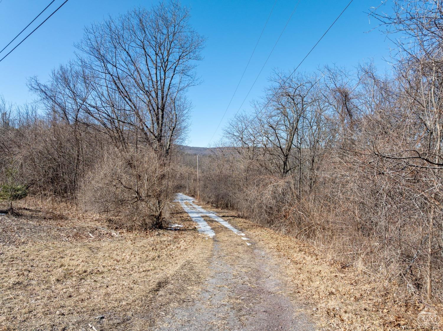 0 Abitz Road Durham, NY 12422 - Photo 19 of 39 Photo 19