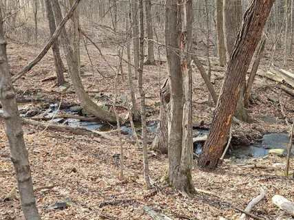 $64,500 | 0 Abitz Road, Durham, NY 12422