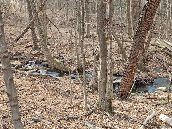 $64,500 | 0 Abitz Road, Durham, NY 12422