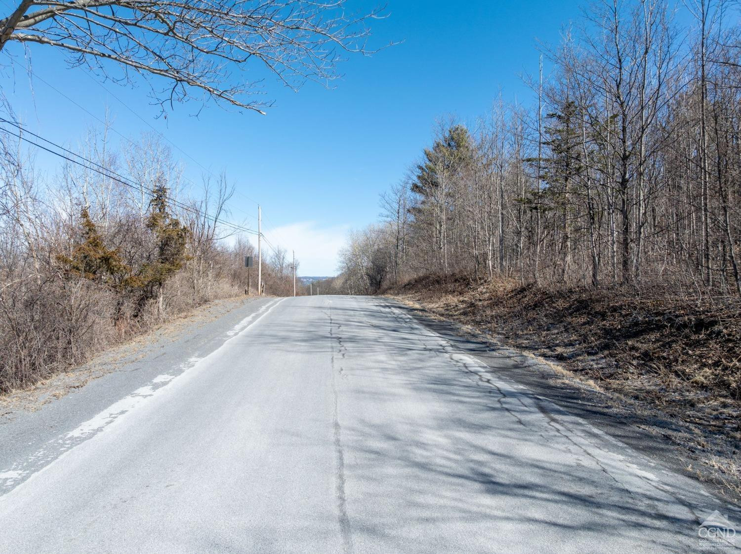 0 Abitz Road Durham, NY 12422 - Photo 21 of 39 Photo 21