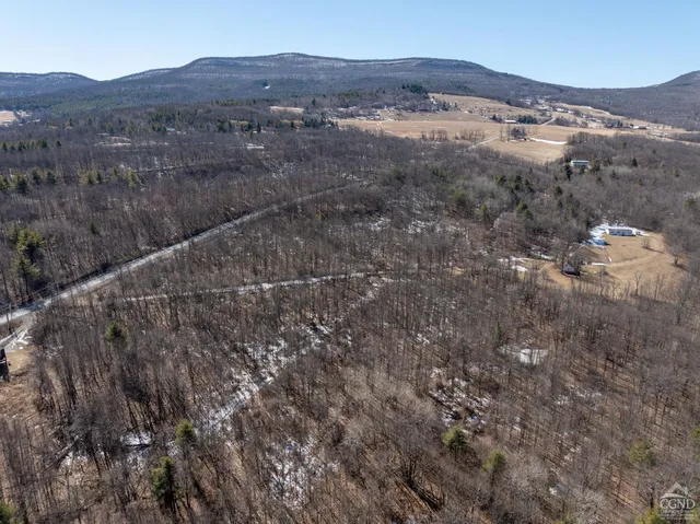 $64,500 | 0 Abitz Road, Durham, NY 12422