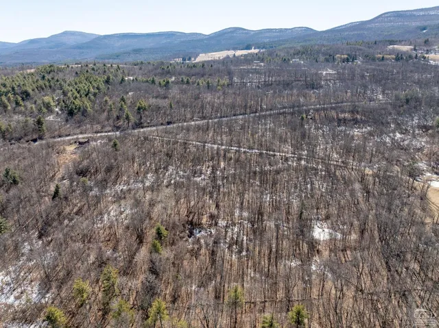 $64,500 | 0 Abitz Road, Durham, NY 12422