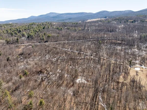 $64,500 | 0 Abitz Road, Durham, NY 12422