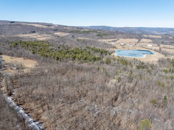 $64,500 | 0 Abitz Road, Durham, NY 12422