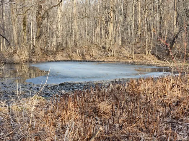 $64,500 | 0 Abitz Road, Durham, NY 12422