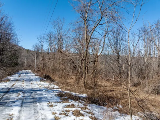 $64,500 | 0 Abitz Road, Durham, NY 12422