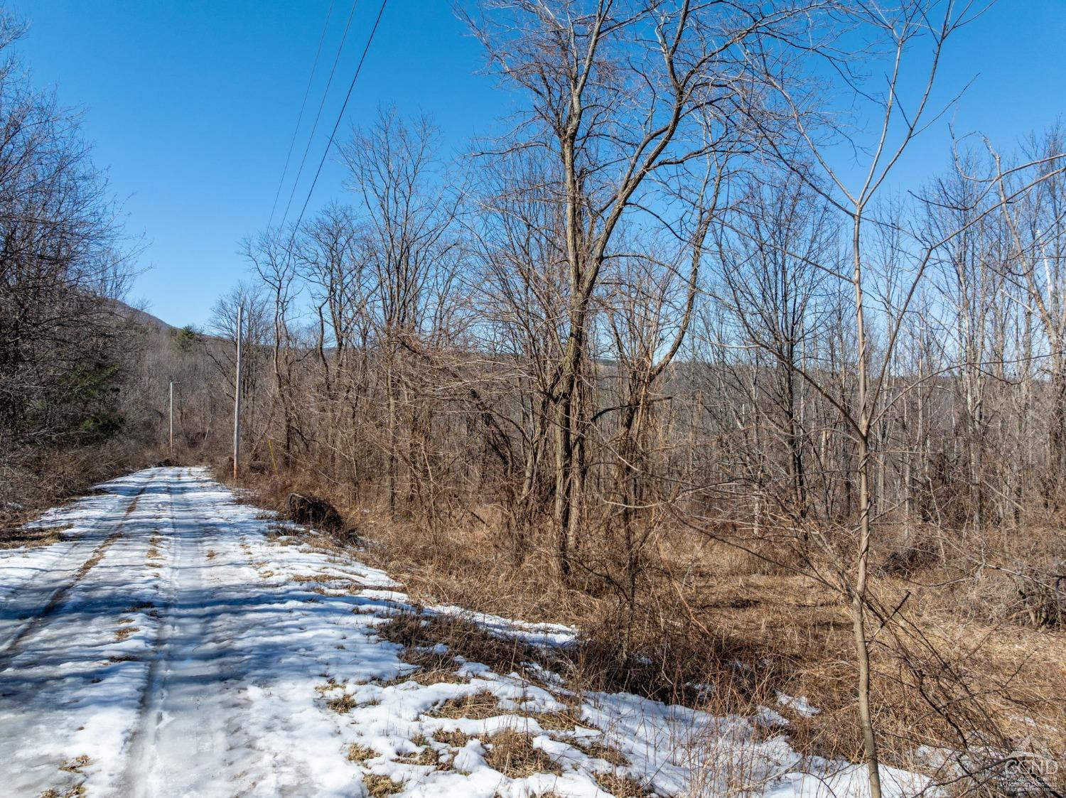 0 Abitz Road Durham, NY 12422 - Photo 8 of 39 Photo 8