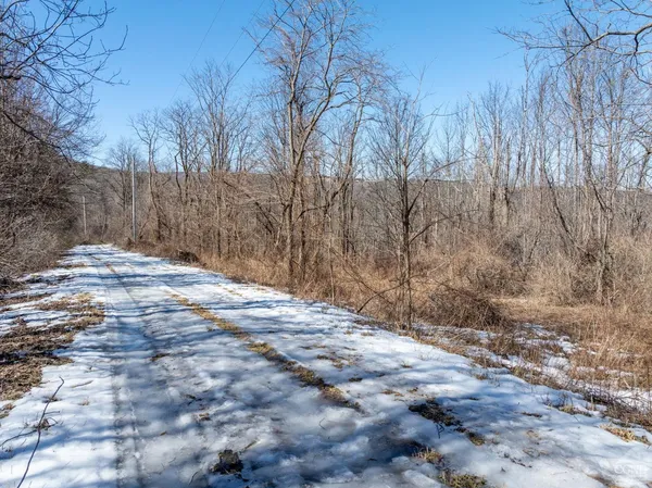 $64,500 | 0 Abitz Road, Durham, NY 12422