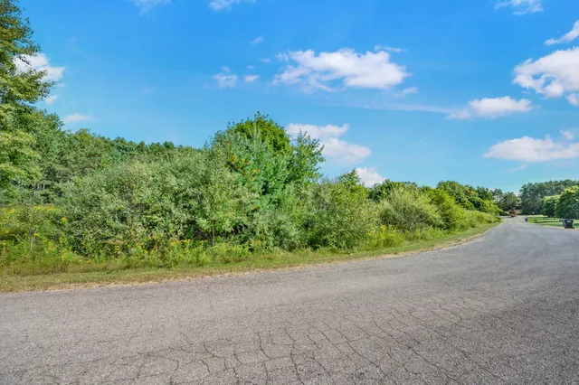 $23,000 | Lot 4 University Club Drive, Big Rapids, MI 49307