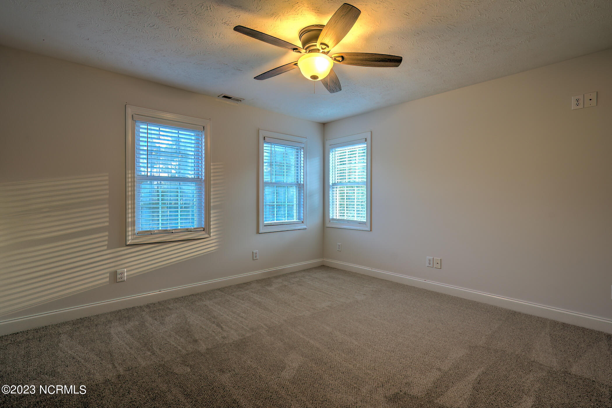 116 Pineview Court Rockingham, NC 28379 - Photo 45 of 70 DSC09061_2_3-DeNoiseAI-low-light