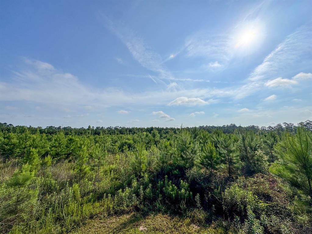 T-1 Ellis West Road Pitkin, LA 70656 - Photo 6 of 18