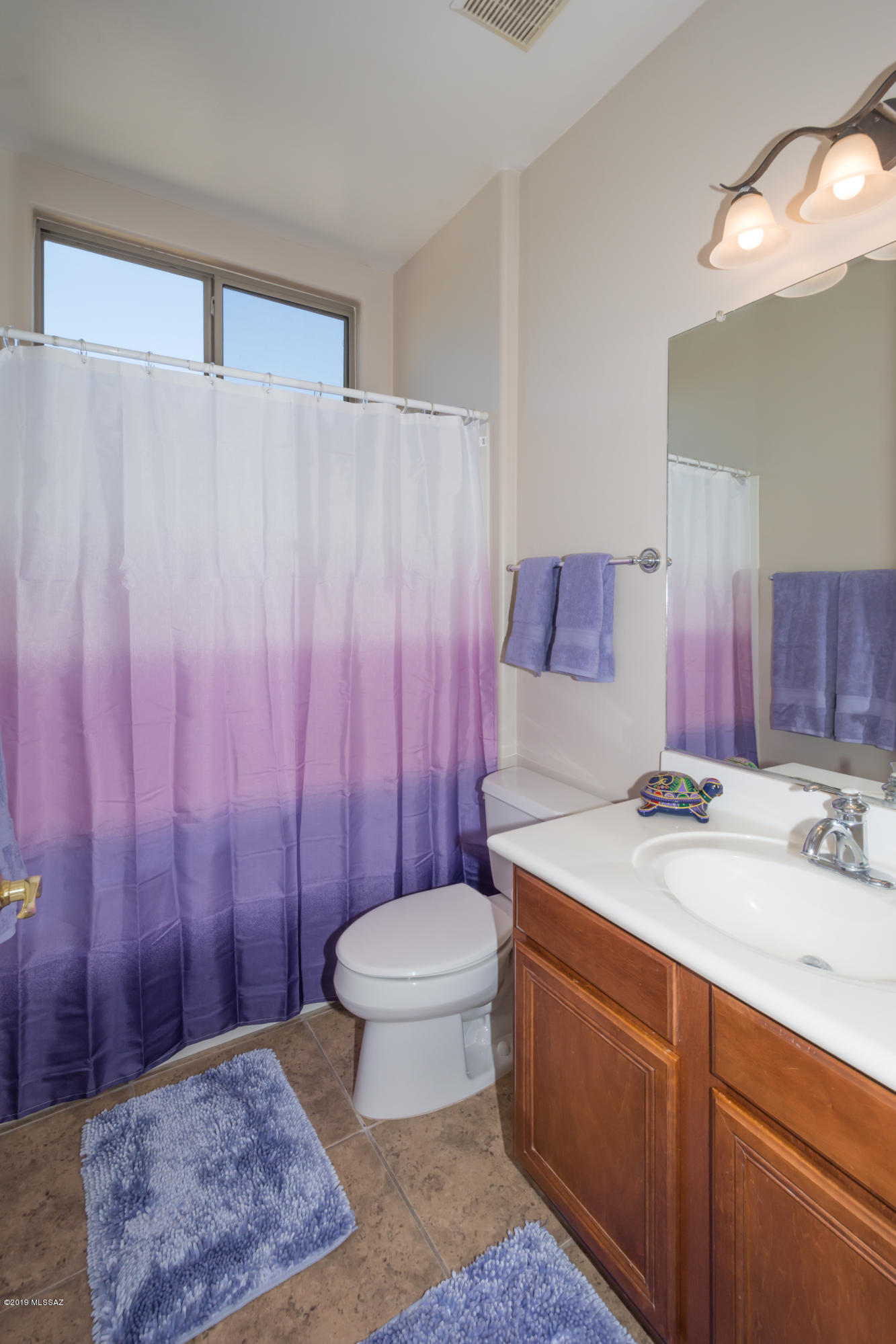 10846 South Heart Break Ridge Place Vail, AZ 85641 - Photo 31 of 49