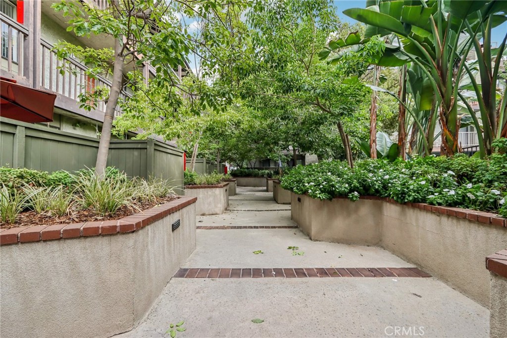 330 Cordova Street, Unit 257 Pasadena, CA 91101 - Photo 25 of 28 a view of a garden with plants