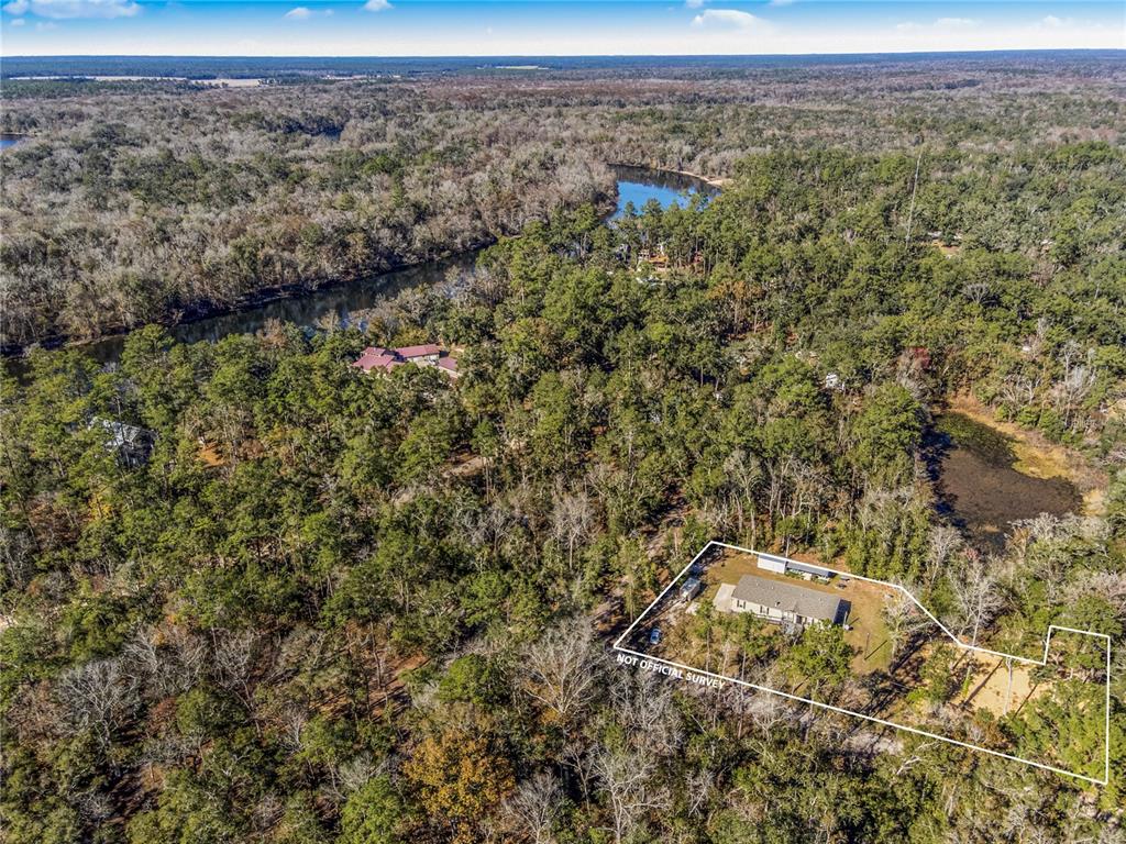 7970 Southwest 14th Place Bell, FL 32619 - Photo 5 of 45 a view of a forest with a building in the background