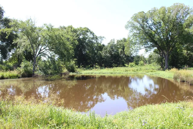 a body of water with a tree in the background
