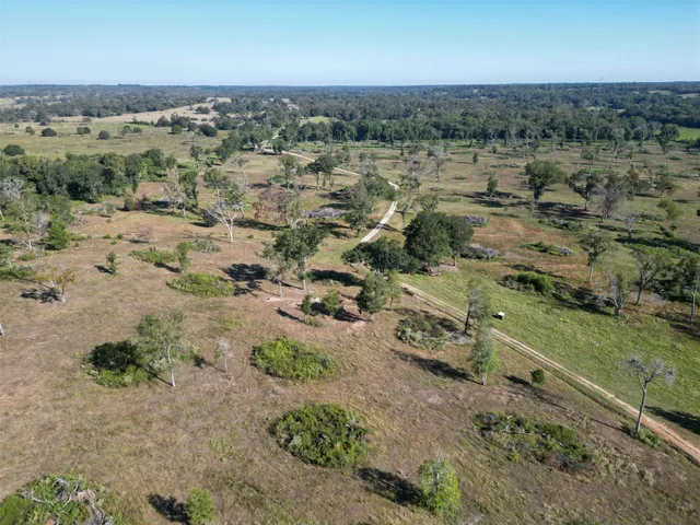 a view of a house with a yard and large tree