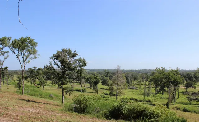 a view of a field with trees around