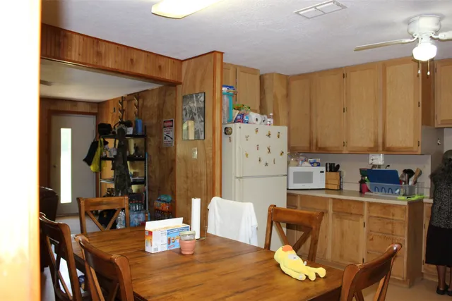 a view of a trees in a yard