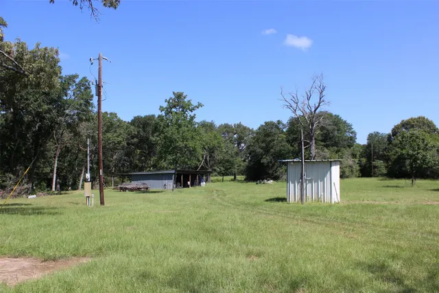 a view of a tree in a yard