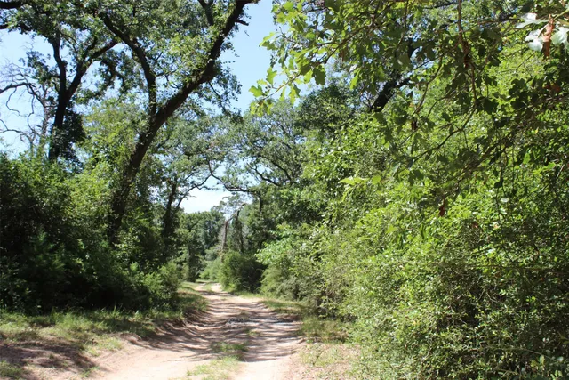 a view of outdoor space and barbecue grill