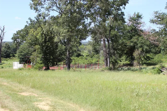 a view of outdoor space with trees all around