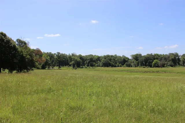 a view of a park with large trees