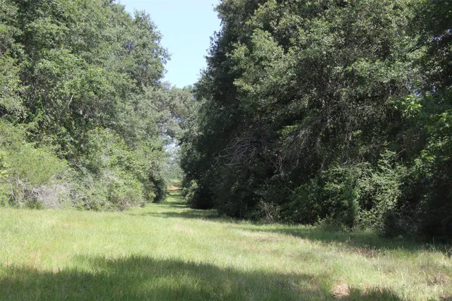 an aerial view of a houses with a lake
