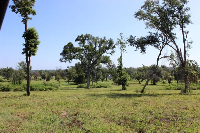 a view of a grassy field with trees