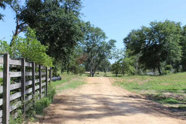 a view of a yard with plants and trees