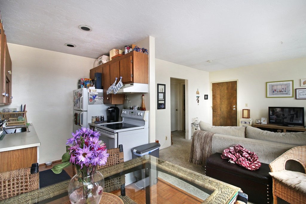 3 Cypress Road, Unit 305 Boston, MA 02135 - Photo 4 of 7 Gallery Image 4