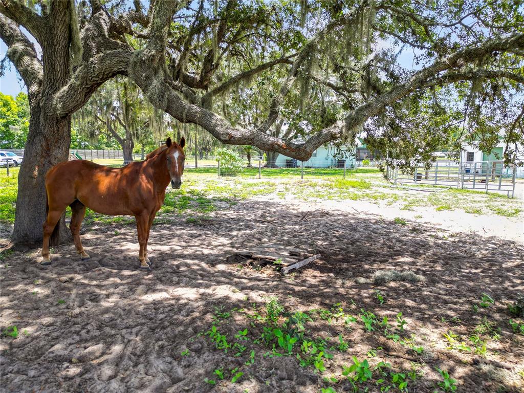 6570 Water Tank Road Haines City, FL 33844 - Photo 83 of 95