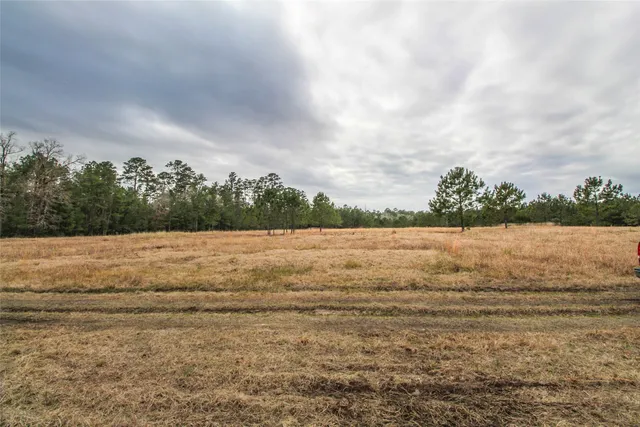 $2,120,000 | 1 West Rosewood Pkwy Point, Oakhurst, TX 77359
