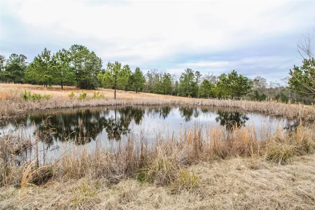 $2,120,000 | 1 West Rosewood Pkwy Point, Oakhurst, TX 77359