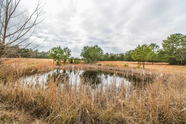 $2,120,000 | 1 West Rosewood Pkwy Point, Oakhurst, TX 77359