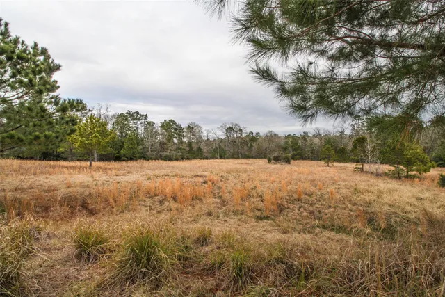 $2,120,000 | 1 West Rosewood Pkwy Point, Oakhurst, TX 77359
