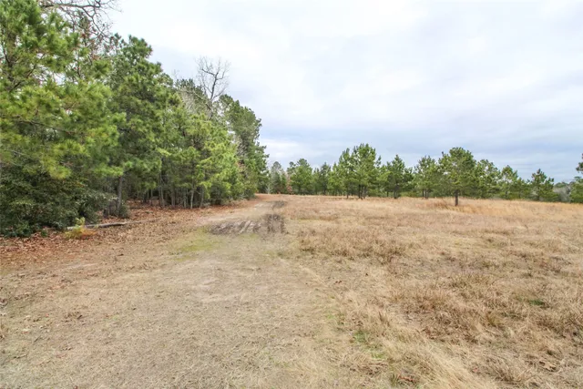 $2,120,000 | 1 West Rosewood Pkwy Point, Oakhurst, TX 77359