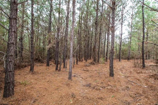 $2,120,000 | 1 West Rosewood Pkwy Point, Oakhurst, TX 77359